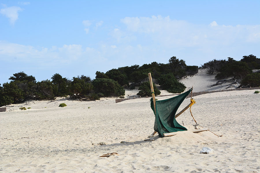 Golden beach / PhotoSilvana Matozza