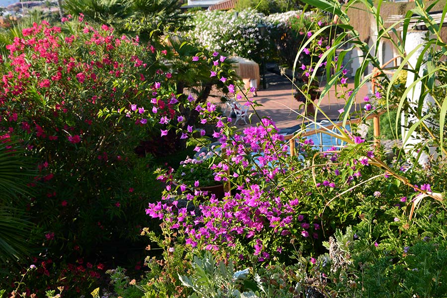 Un giardino fiorito e termale / PhotoSilvana Matozza