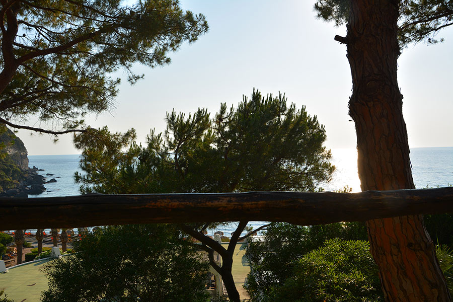  Giardini Poseidon. Isola d'Ischia/ PhotoSilvana Matozza