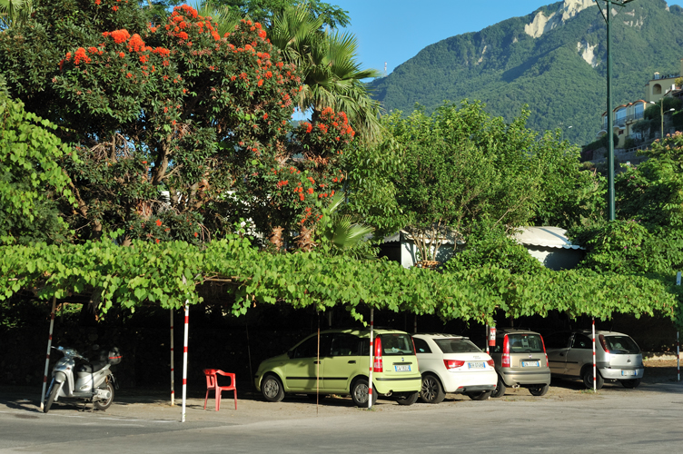 Il parcheggio all'ombra del pergolato / PhotoSilvana Matozza