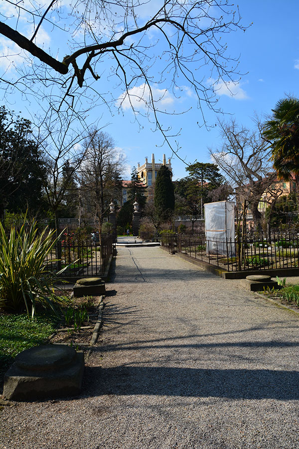 Viale - Orto botanico/ PhotoSilvana Matozza