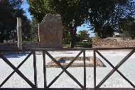  Villa Adriana. Scorcio con colonna. / Photo©Silvana Matozza, Guido Bonacci