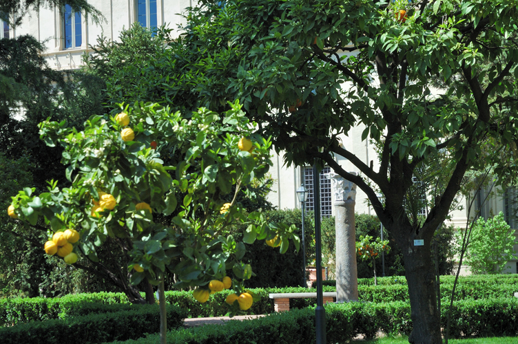 Giardino della rinascimentale villa di Agostino Chigi /  PhotoSilvana Matozza, Guido Bonacci