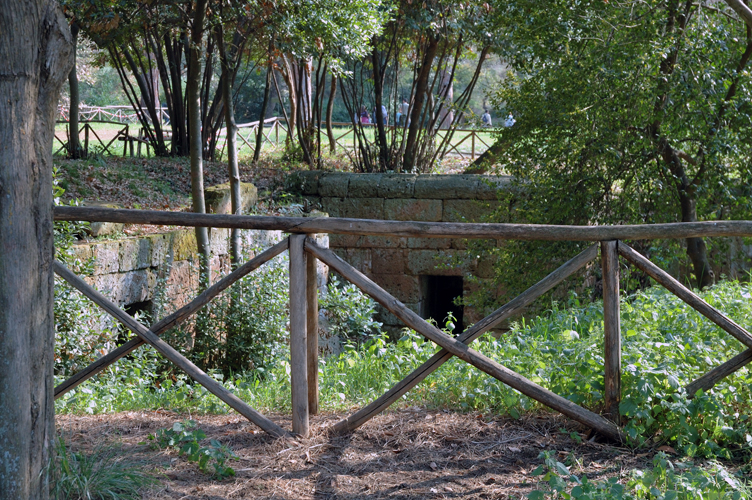 ../Images/Cerveteri_Banditaccia.jpg