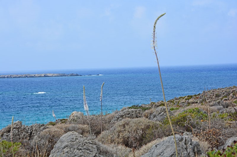 Costa marina / Sea Coast. Falassarna. Crete Island. Greece.