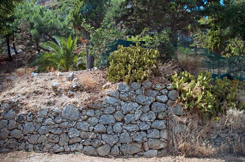 Una vegetazione rigogliosa oltre il muretto di pietre. Photo Impressioni jazz