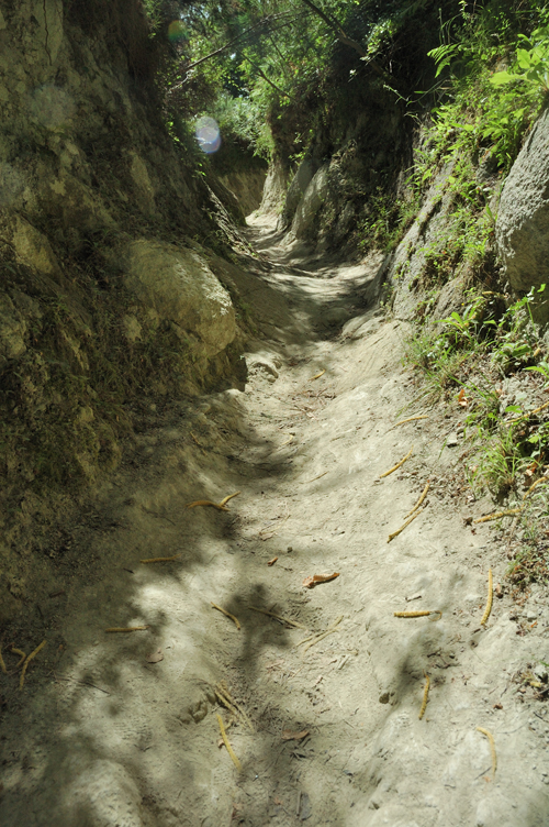 ../Images/Mulattiera_Epomeo_d'Ischia.jpg