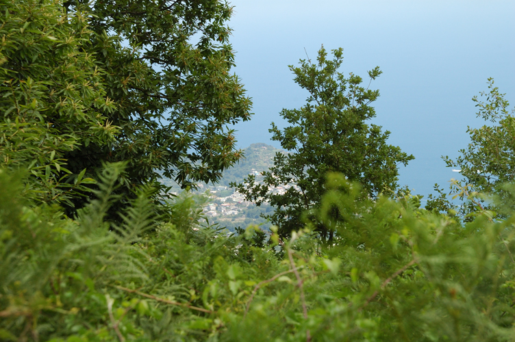 ../Images/Sant'Angelo.Vista_dal_Monte_Epomeo.jpg