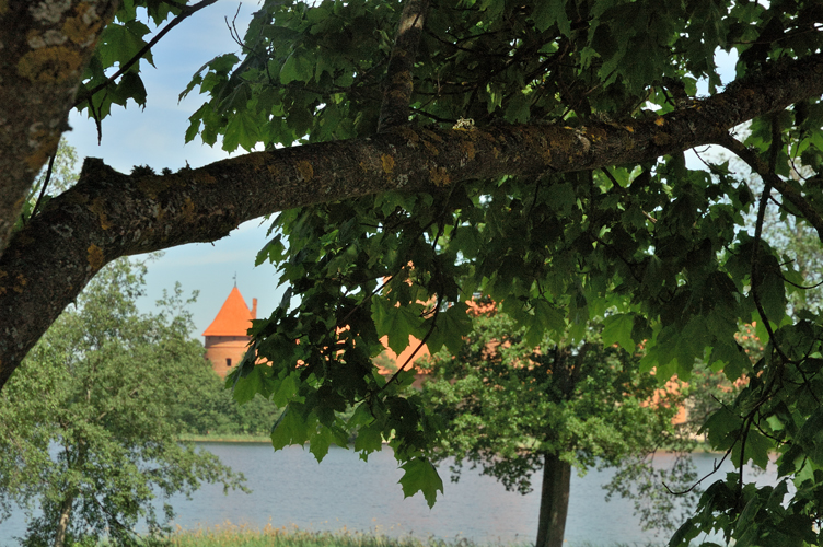 Scorcio del lago / foto impressioni Jazz