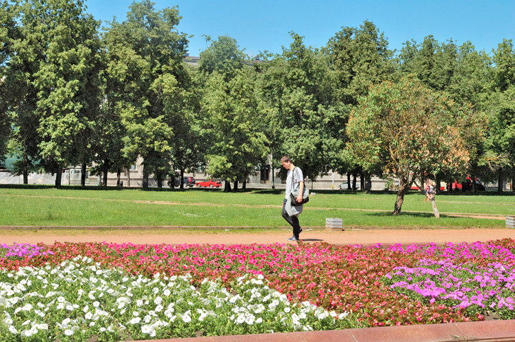 Una piazza fiorita di Vilnius