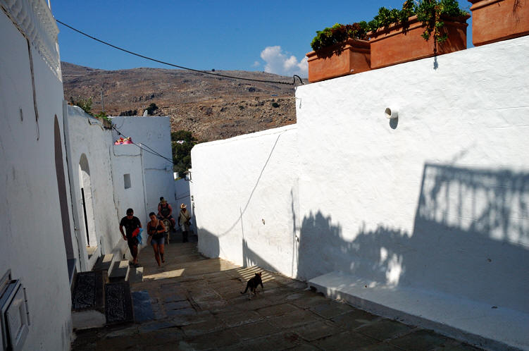 un gatto nel vicolo. Lindos - Λίνδος