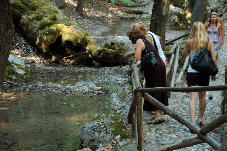 ../Images/Valle_delle_farfalle-Petadoules.jpg