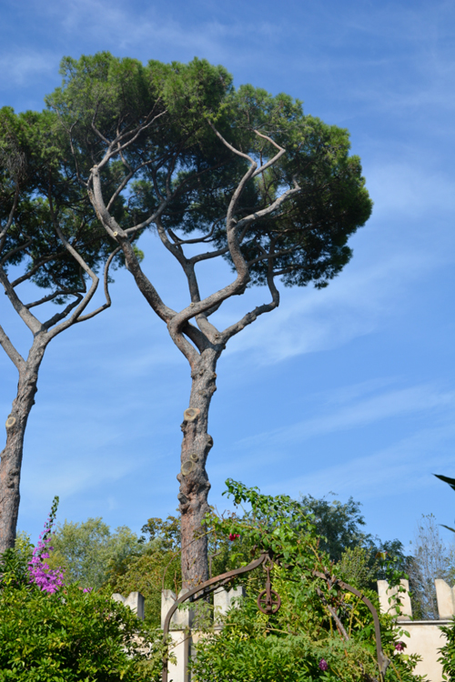 Veduta del Giardino all'interno della Fortezzuola, sede del Museo Pietro Canonica.