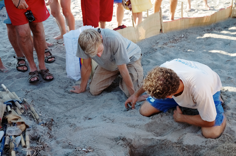 ../Images/Volontari_aiutano_neonate_tartarughe_marine.Gerani.Crete.jpg